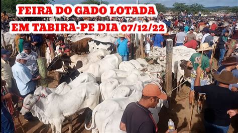 Feira Do Gado Em Tabira Lotada Hoje Dia 07 12 22 Parea Juntas E Boi