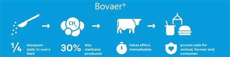 Learn how the FDA-approved Bovaer supplement can reduce methane ...