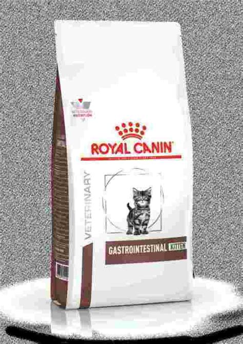 ROYAL CANIN RC GASTROINTESTINAL GASTRO INTESTINAL SO S O ADULT KITTEN