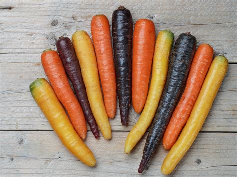 Rainbow Blend Carrot Seeds Heirloom Hometown Seeds