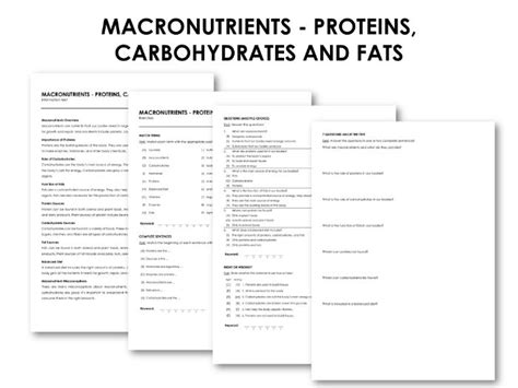 Macronutrients Proteins Carbohydrates And Fats Infotext And Exercises Teaching Resources