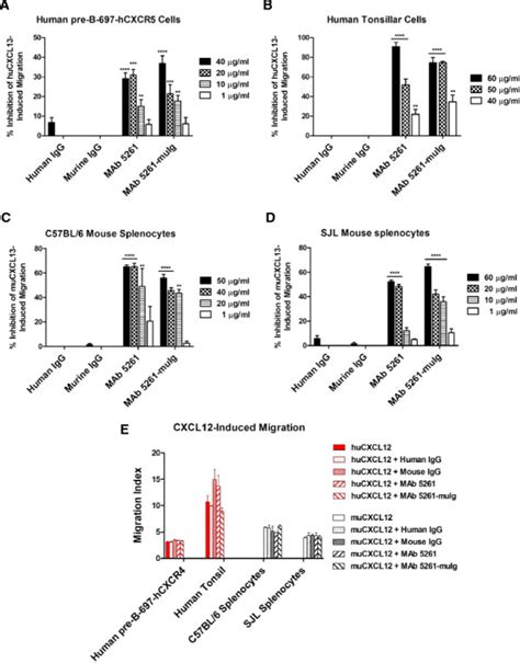 Effect On Cxcl13 A D And Cxcl12 Negative Control E Induced Download Scientific Diagram