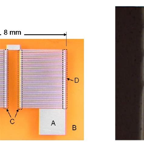 1 Microscope Images Of Typical Thermopile Download Scientific Diagram