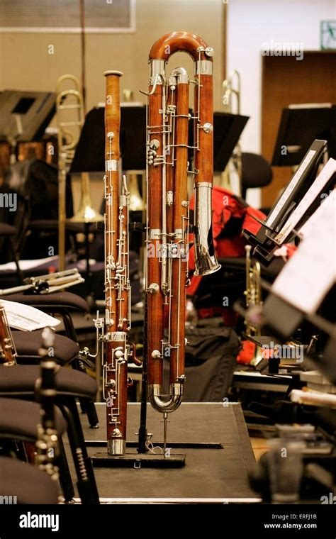 Bassoon and contra bassoon - woodwind instruments on stands Stock Photo ...