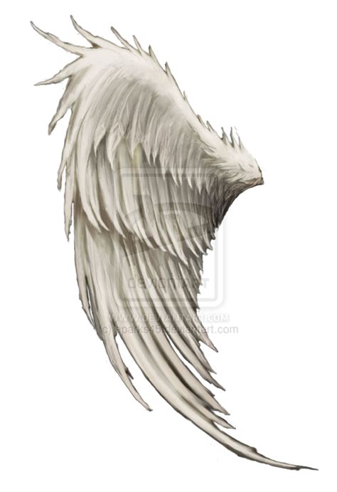 Wing Angel Clip Art Angel Wings Png Download 600875 Free