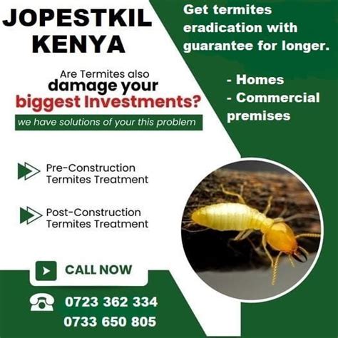 Jopestkil Kenya Top Best Specialist Termites Control Services