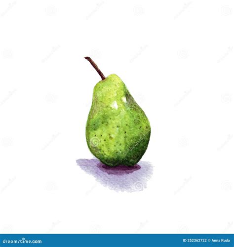 Watercolor Bright Green Pear Stock Illustration Illustration Of Fruit