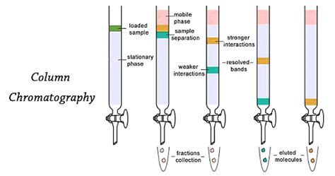 Column Chromatography Principle Procedure Applications