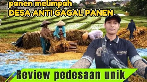 REVIEW PEDESAAN UNIK Desa Anti Gagal Panen YouTube