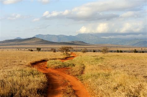 Nature Walks Kikooko Africa Safaris