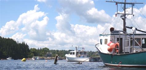 Penobscotpaddles Machias Bay From Bucks Harbor