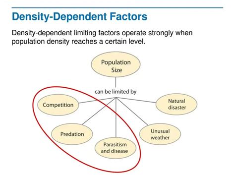 Effect Of Density Of Populations Ap Biology Notes Biology Notes Online