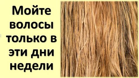 Мойте волосы только в эти дни недели для достатка и удачи, когда моете ...