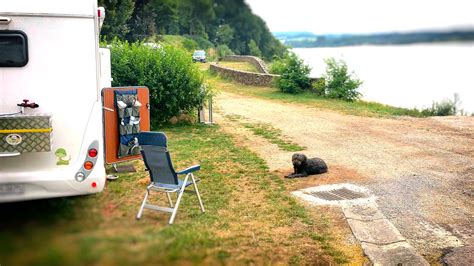 Camping Mit Hund Was Du Ber Campingreisen Wissen Solltest Reisetipp