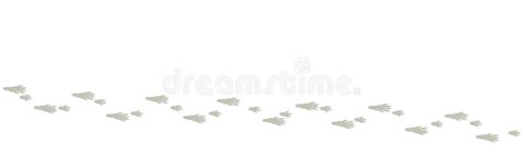 Rat Footprints Stock Illustrations – 37 Rat Footprints Stock Illustrations, Vectors & Clipart ...