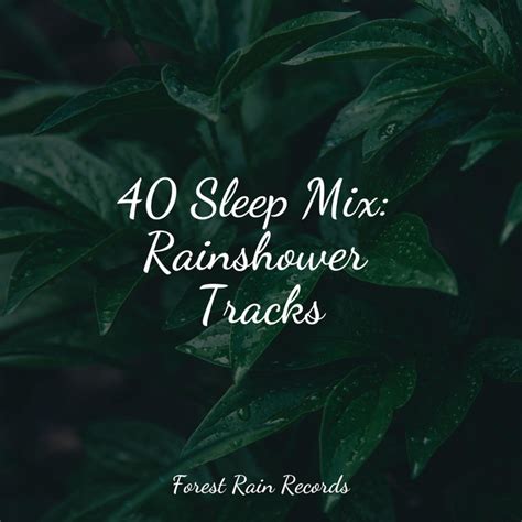 Sleep Mix Rainshower Tracks Album By Relaxing Music Spa Zen