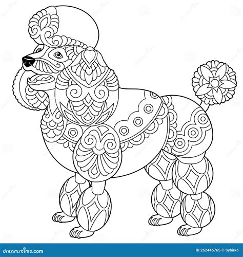 Poodle Dog Coloring Page Stock Vector Illustration Of Cute 262446765