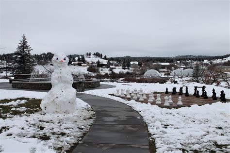 Winter in Pagosa - House of Been