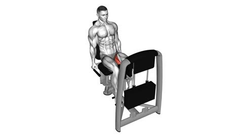 Lever Seated Hip Adduction Video Guide And Tips