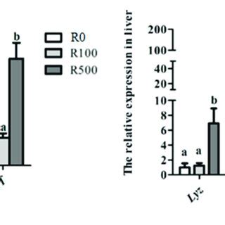 Relative Mrna Expressions Of Antioxidant Related Genes Including