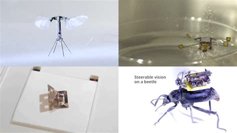 Andrey Shtylenko on LinkedIn: #robots #microrobots | 47 comments