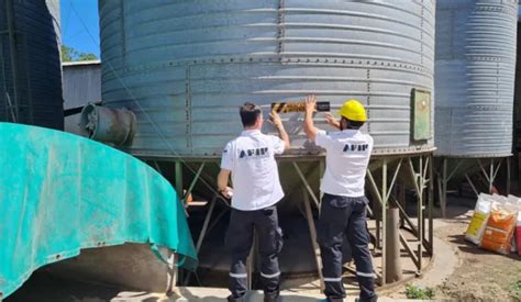 La Afip Incaut En Chivilcoy M S De Toneladas De Granos En Un Feedlot