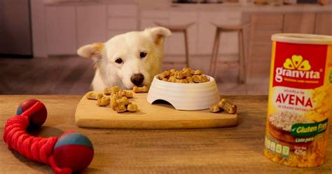 Son Copos De Avena Buenos Para Perros