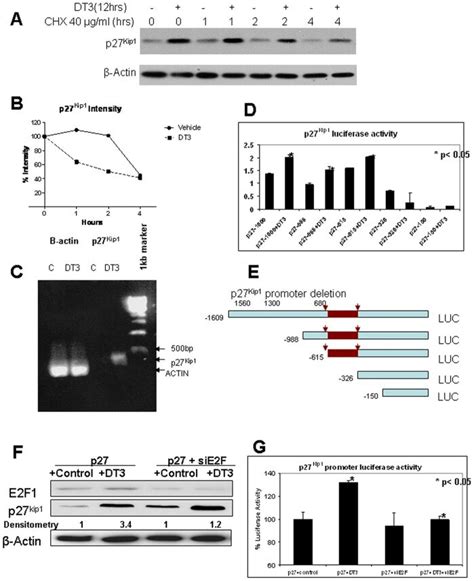 A Miapaca Cells Were Treated With Tocotrienol At A Predetermined