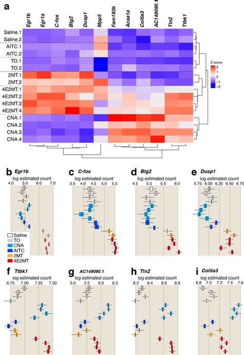 Compounds Induce Differential Gene Expression In The TG A Clustered