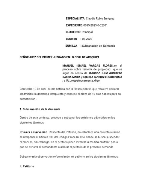 Subsanación De Demanda Pdf Demanda Judicial Judicaturas