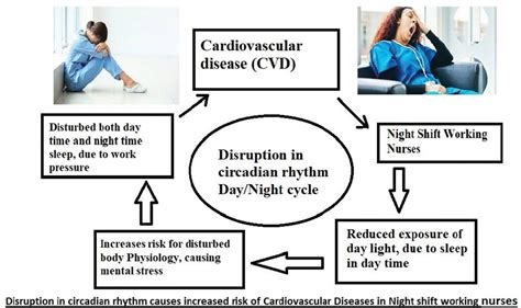 Disruption In Circadian Rhythm Increases Cardiovascular Disease Risk Factors In Shift Working