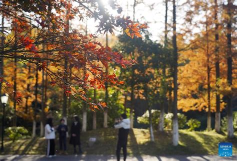 Sch Ne Landschaft Des Nationalen Waldparks In Nanchang China Org Cn