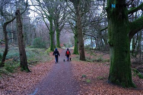 Newry.ie - Community Woodland Award for Slieve Gullion Forest Park