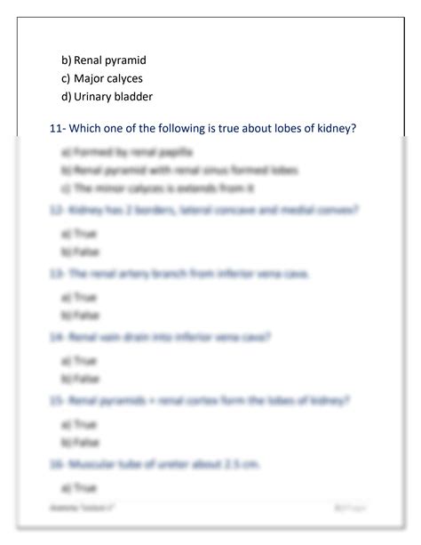 SOLUTION Urinary System Questions Studypool