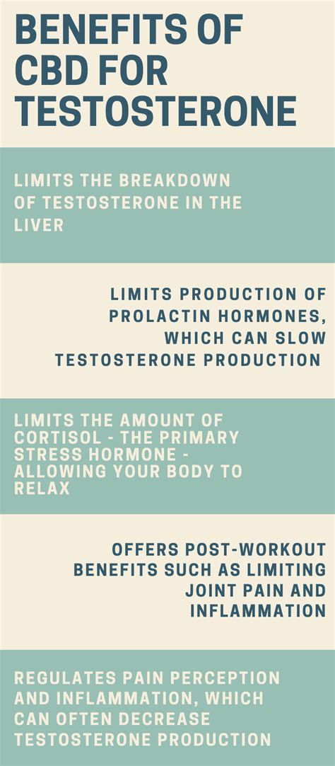 Cbd And Testosterone Levels Here Are The Pros And Cons