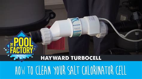 Hayward Turbocell How To Clean Your Cell Youtube