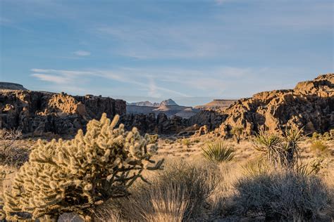 Guide To Camping In Californias Stunning Desert Landscapes