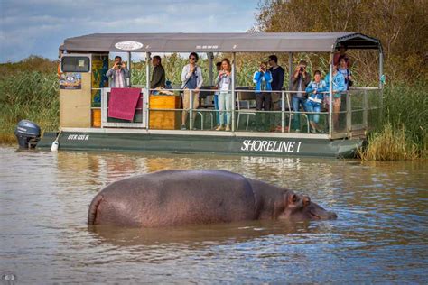 Magnificent Hippo And Croc Boat Cruise St Lucia R380 Pp