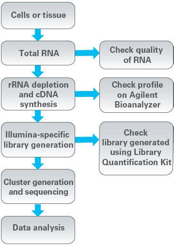 NGS Library Quantification Kit