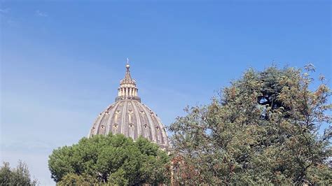 Il Cupolone La Cupola Di San Pietro Svetta Tra Gli Alberi Flickr