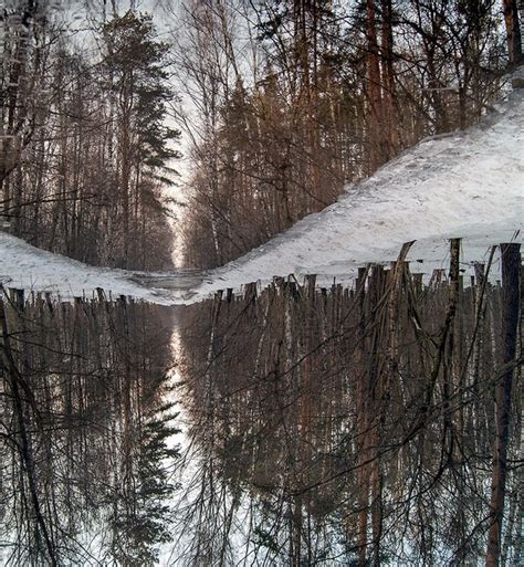 Весна в Лосином Острове. | Пикабу