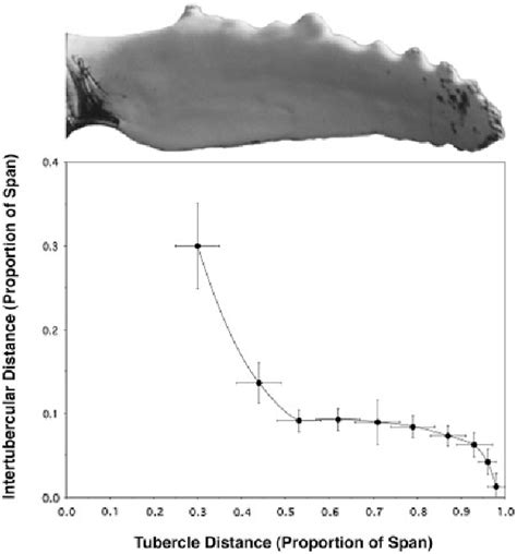 Figure From The Tubercles On Humpback Whales Flippers Application