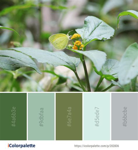 Color Palette Ideas From 2967 Leaf Images Icolorpalette Color