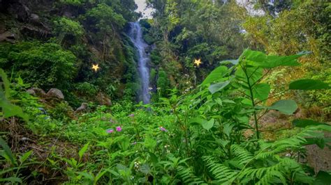 Nikmati Keindahan Air Terjun Semirang Di Ungaran Jawa Tengah Orami