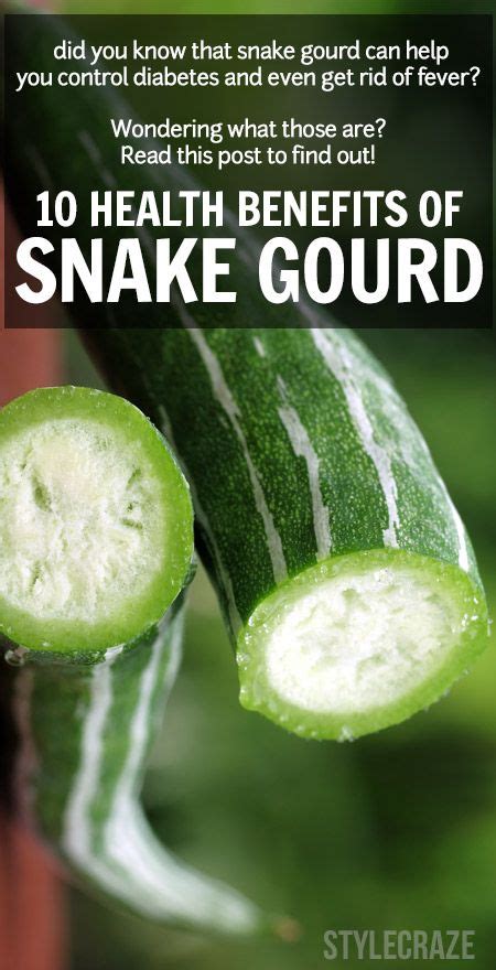 Amazing Health Benefits Of Snake Gourd Health Benefits Gourds