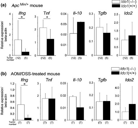 Relative Mrna Expression Of Pro Inflammatory And Antiinflammatory