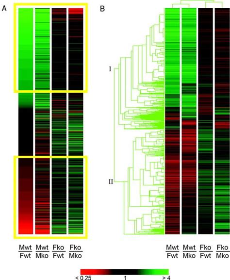 Sex Dependent Liver Gene Expression Is Extensive And Largely Dependent