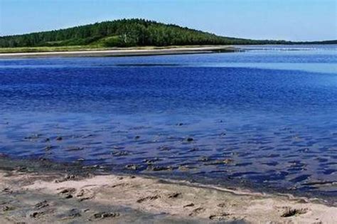 Курганская область. Соленое озеро Медвежье. И нервы успокоит, и болезни ...