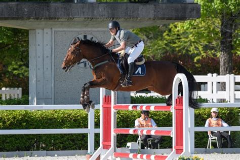 ★近畿大会に行ってきました＆オリンピアン林伸伍氏来場★ 兵庫県の乗馬クラブ 明石乗馬協会オフィシャルブログ