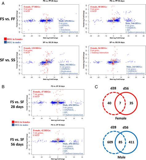 The Role Of Mitochondria In Sex And Age Specific Gene Expression In A